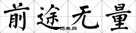 前途無量意思|前途无量